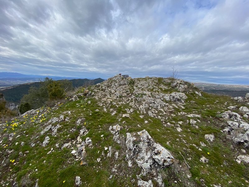 Tontorra