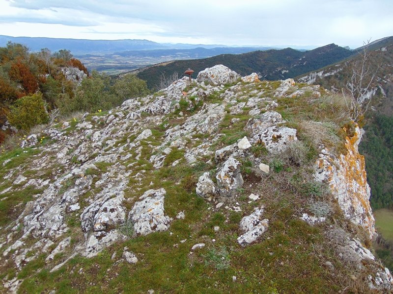 Tontorra
