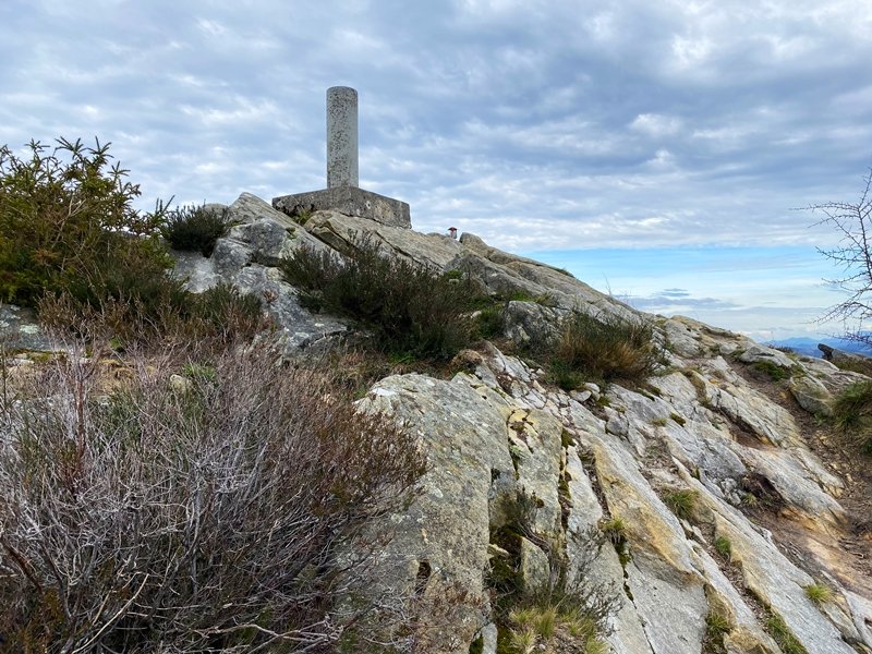 Tontorra