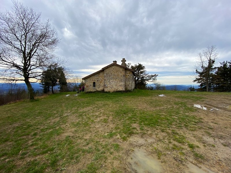Tontorra