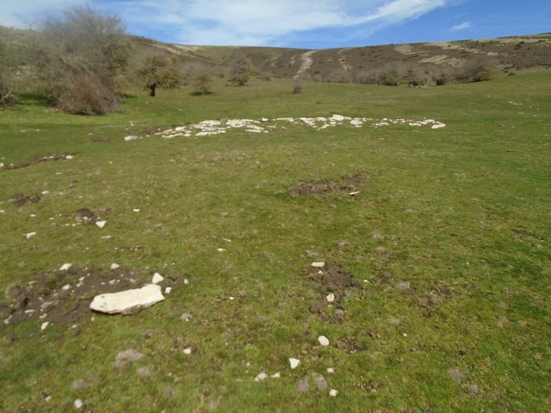 elorribakarra