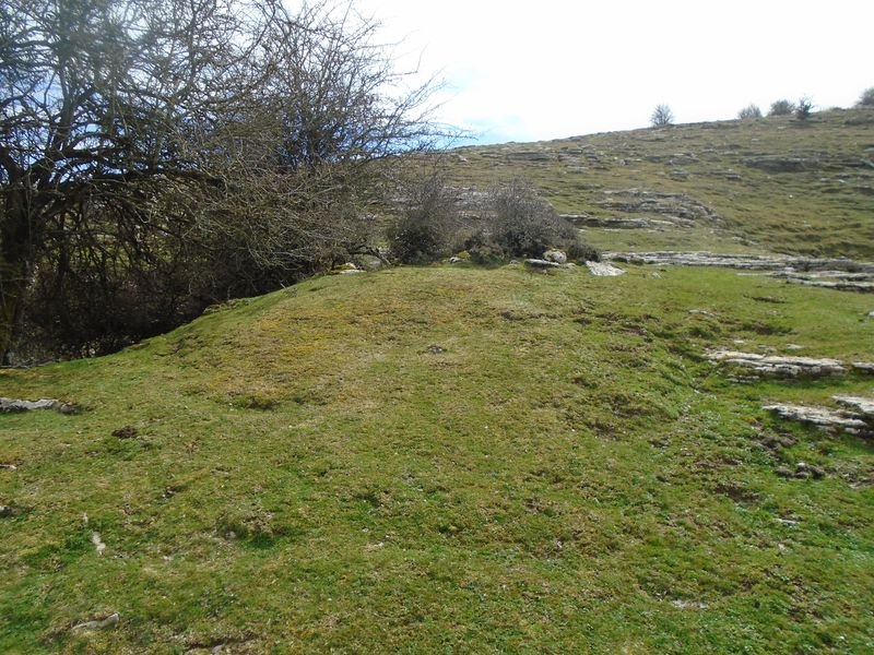 el orinal hego