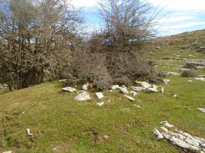 el orinal hego