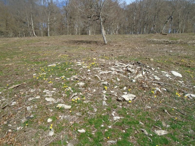 bagaritxa 6
