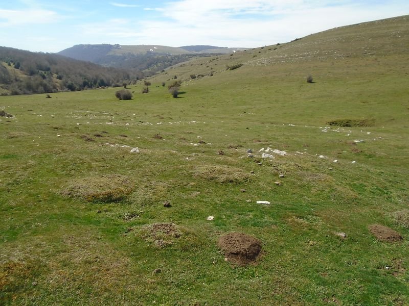 ingiri