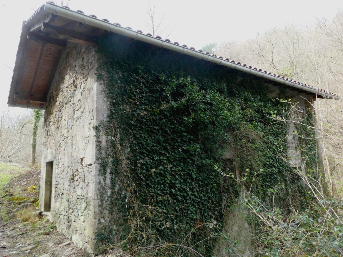 Errota, Saldias