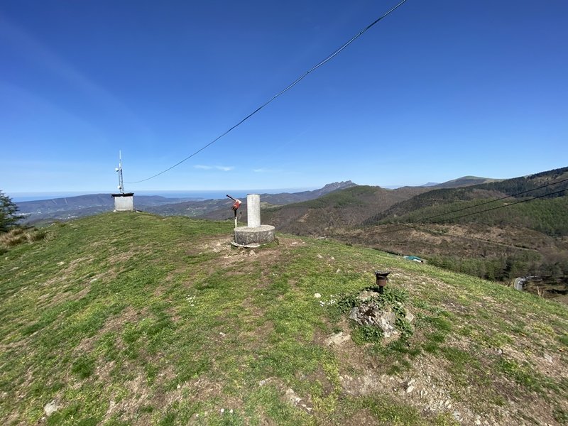 Tontorra
