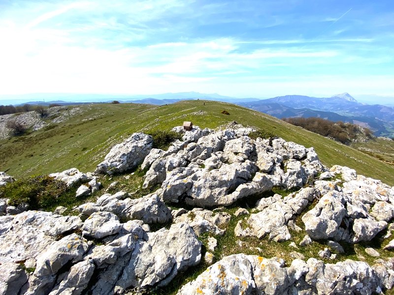 Tontorra
