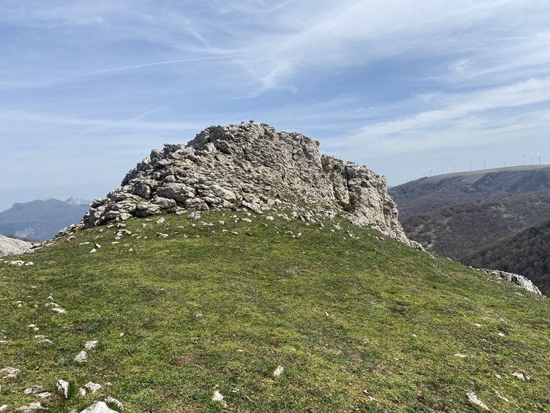 Tontorra