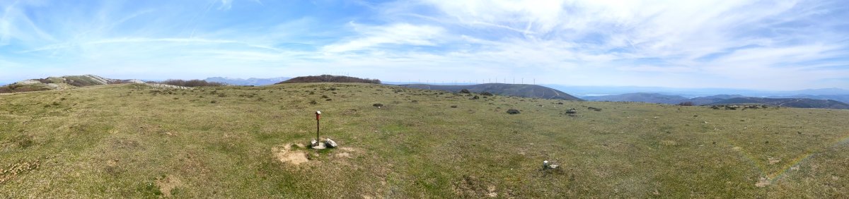 Tontorra