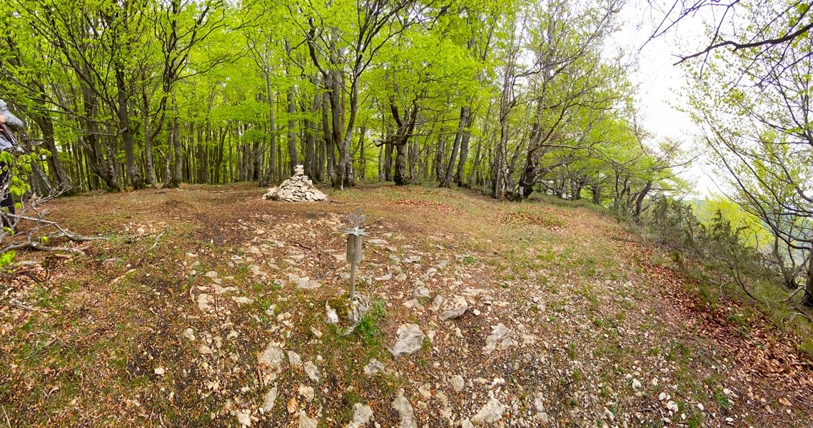 Tontorra