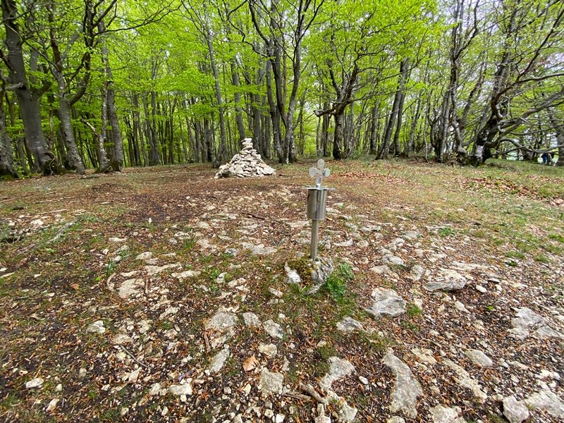Tontorra