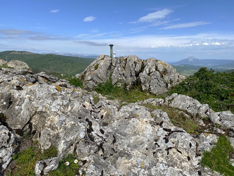 Tontorra