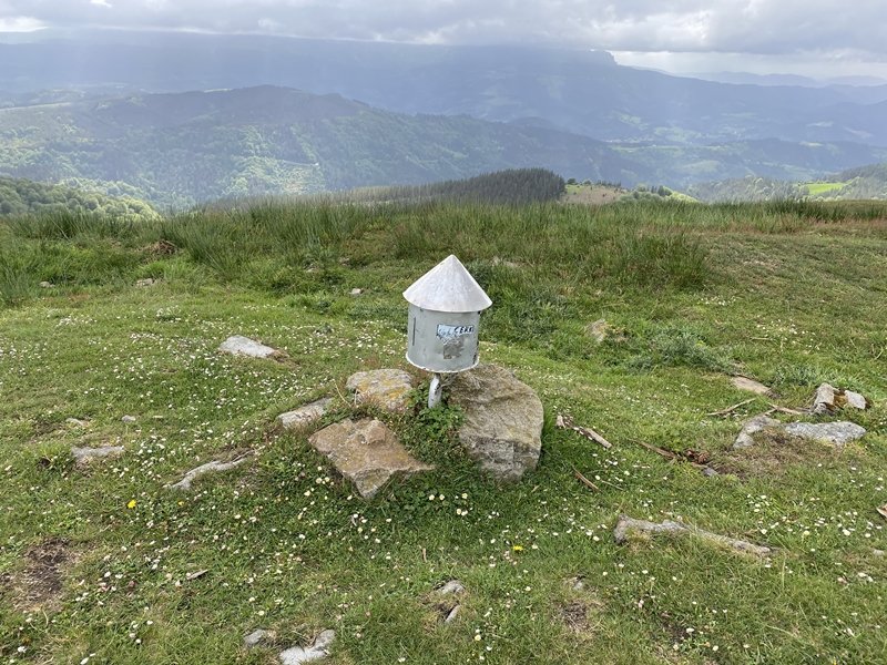 Buzoia