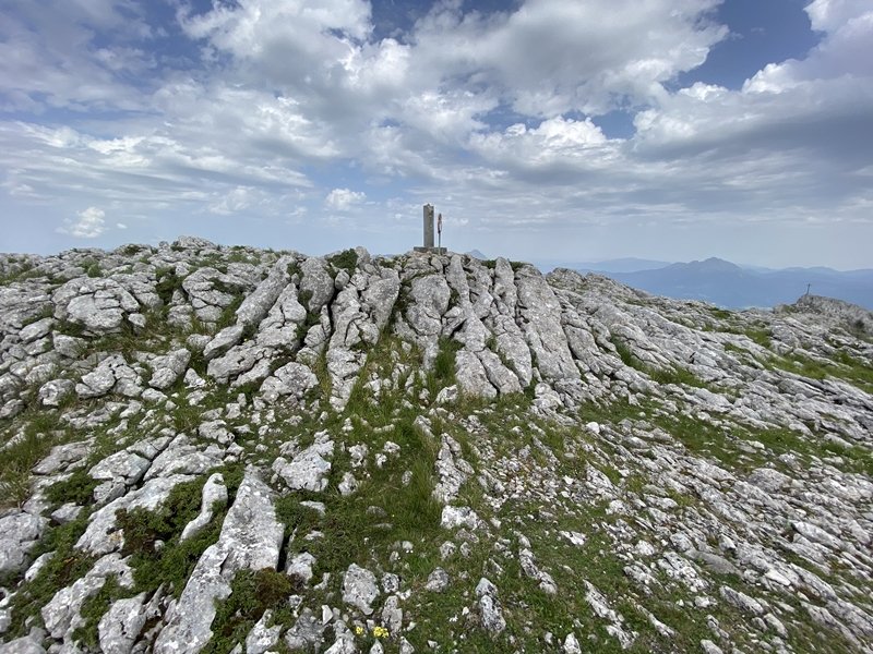 Tontorra