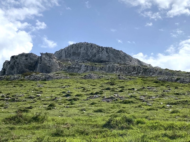 Elorreta