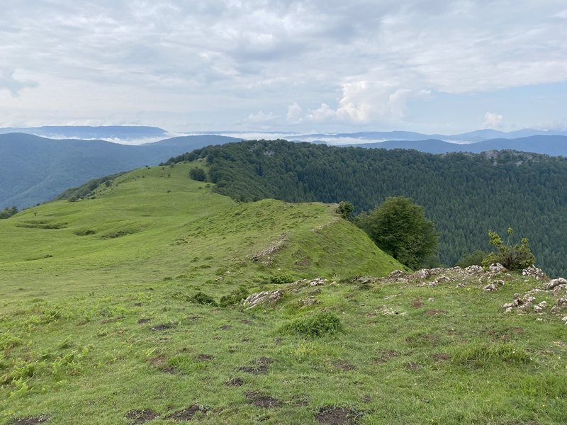 Agaotzetik