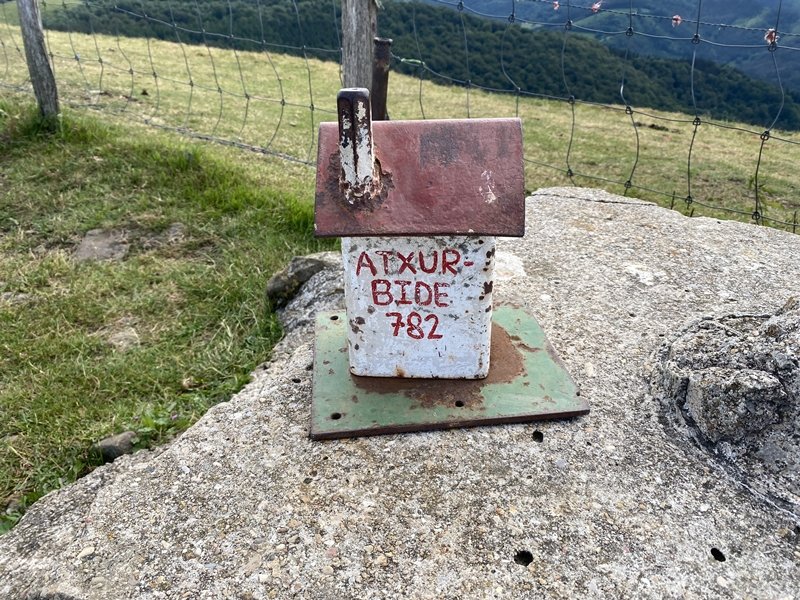 Buzoia