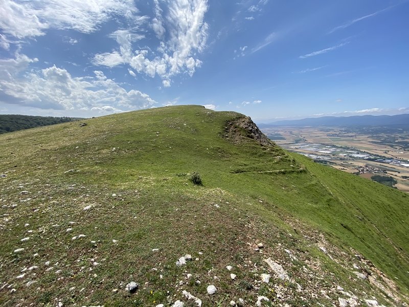Tontorra