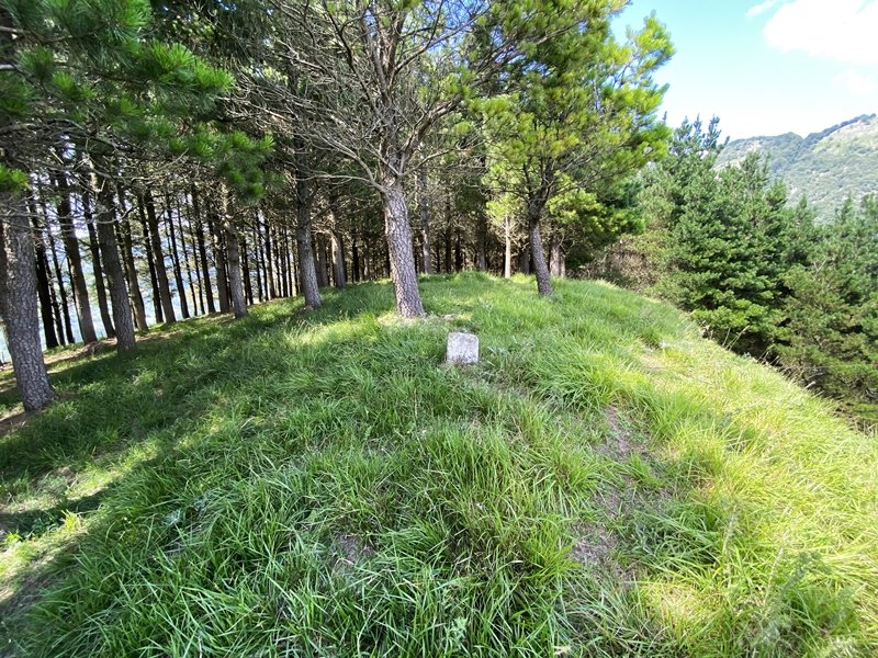 Tontorra