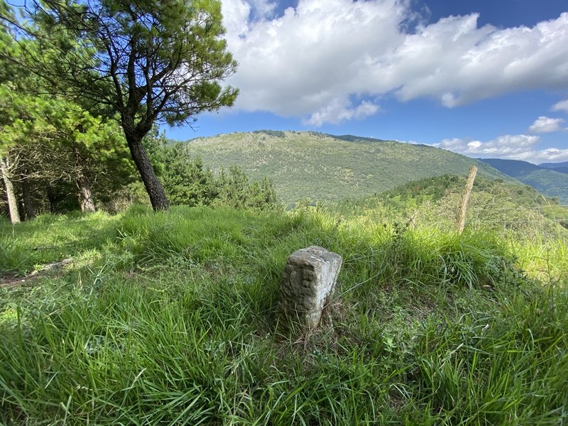 Tontorra