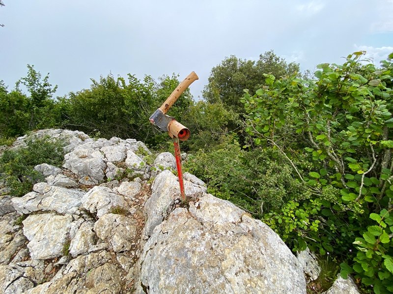 Buzoia