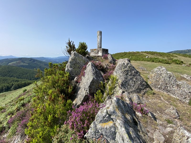 Tontorra