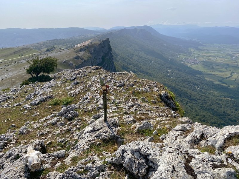Tontorra