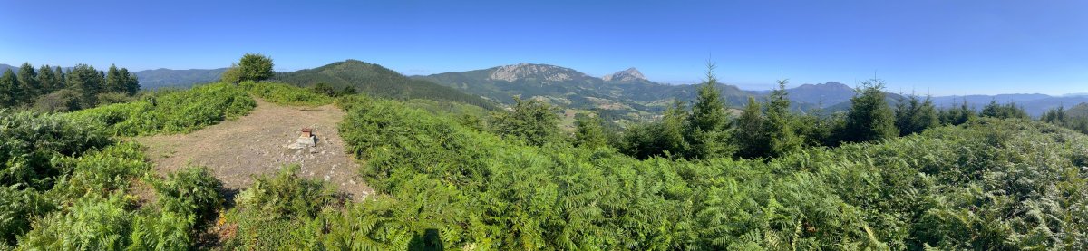 Tontorra