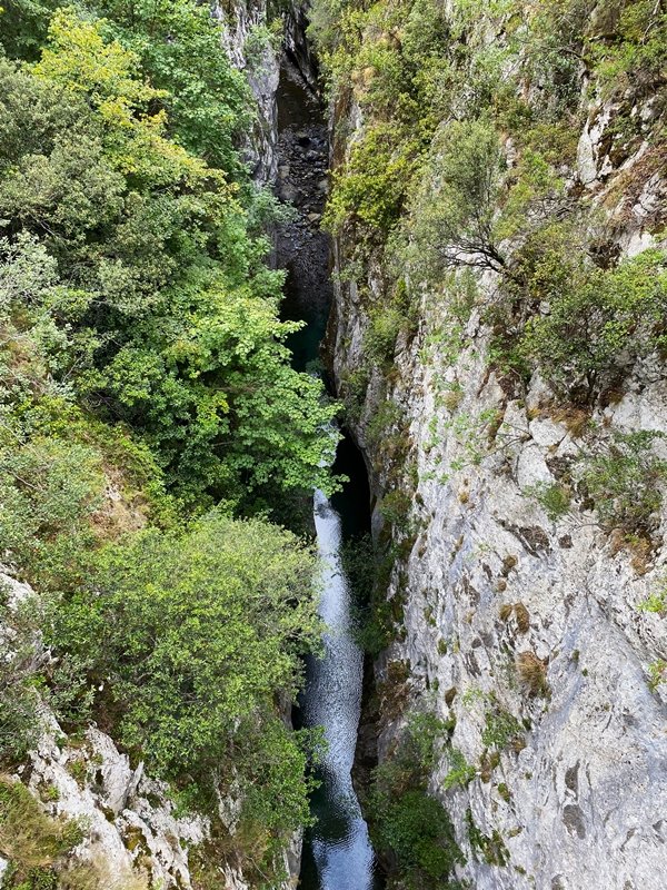 Careseko Arroila