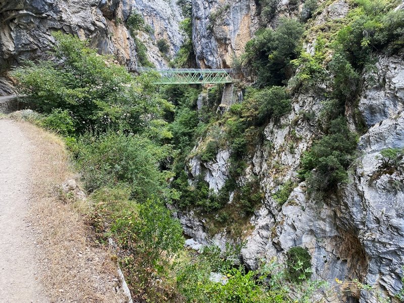 Careseko Arroila