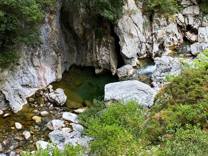 Careseko Arroila