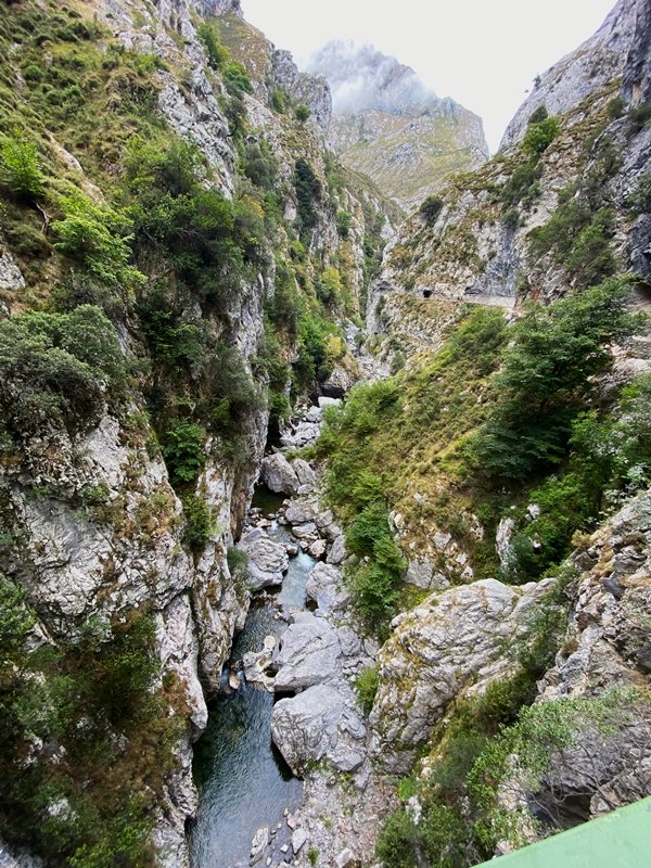 Careseko Arroila