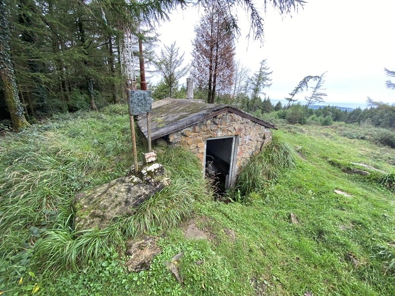 Tontorra