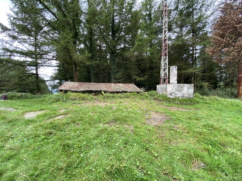 Tontorra