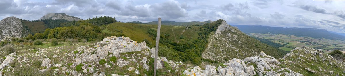 Tontorra