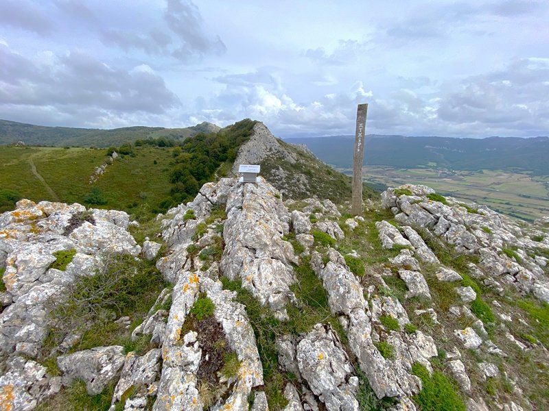 Tontorra