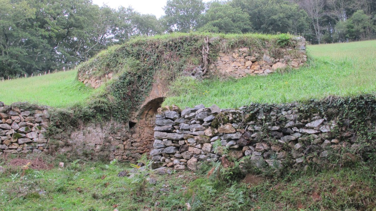Albitz karobia