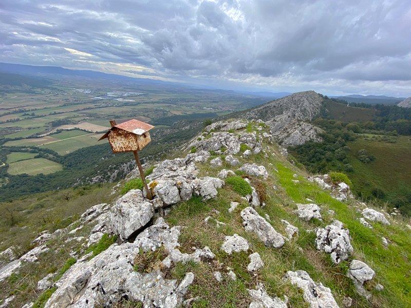 Buzoia