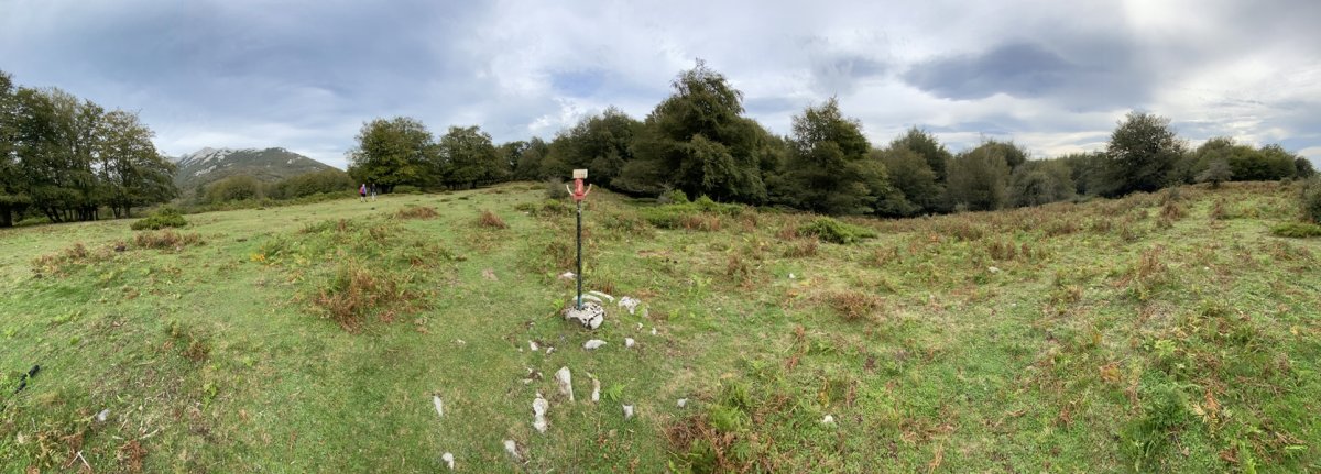 Tontorra