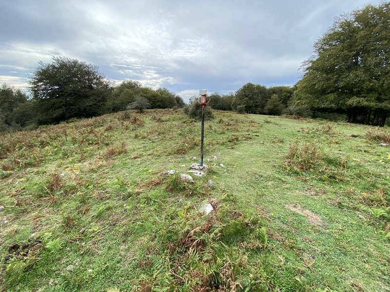 Tontorra