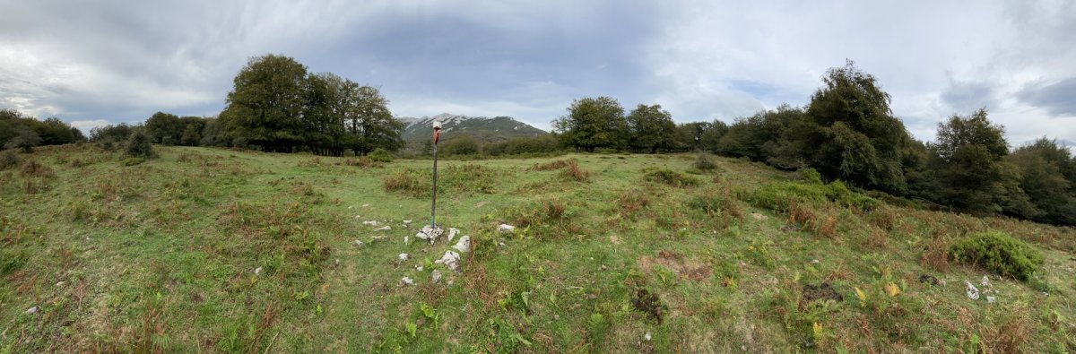 Tontorra