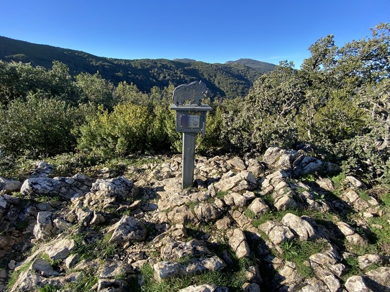 Tontorra