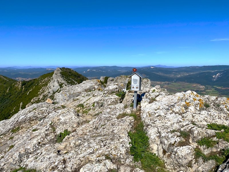Tontorra