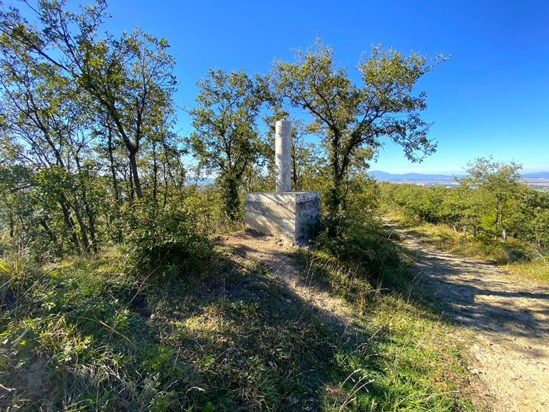Tontorra