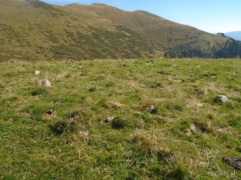 es corralets