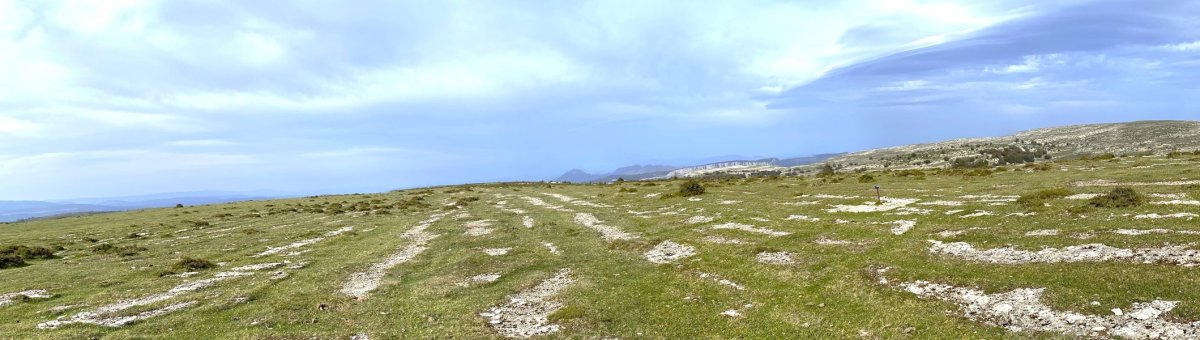 Tontorra