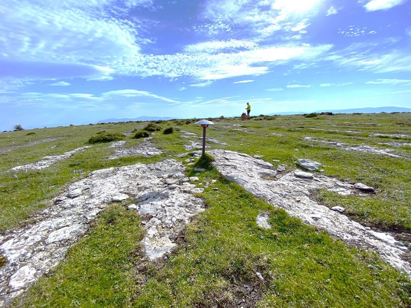 Tontorra