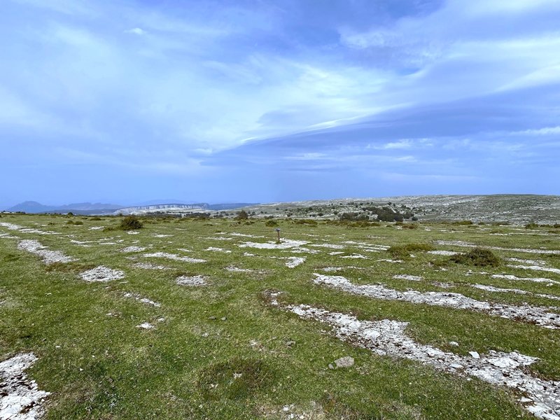 Tontorra