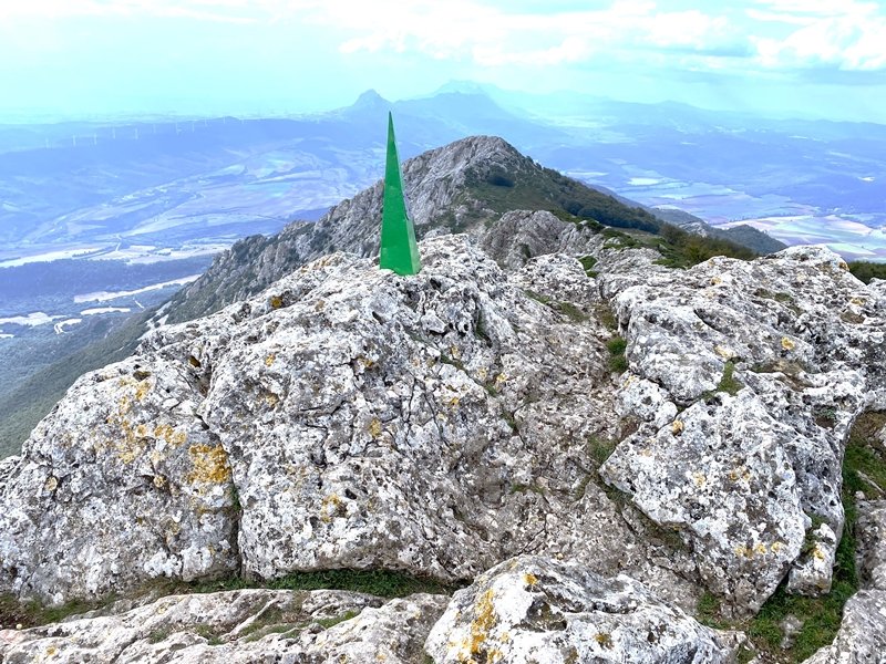 Buzoia
